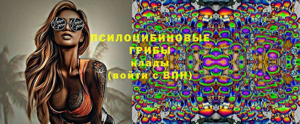соль ск Арсеньев