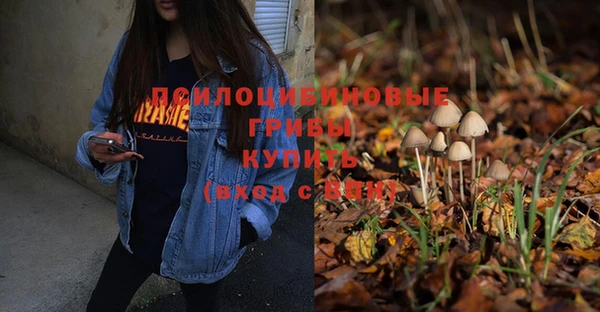 прущие крисы Аркадак