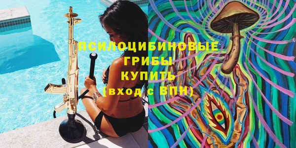 тгк Армянск