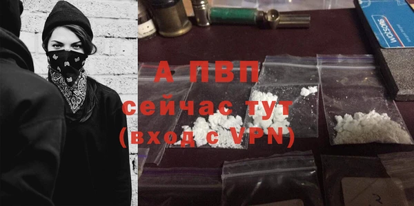 соль ск Арсеньев
